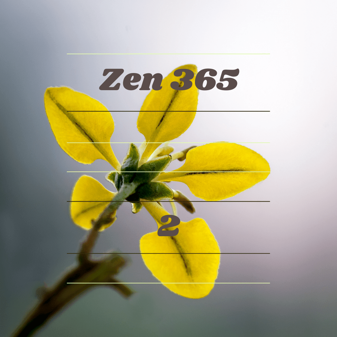 Zen 002