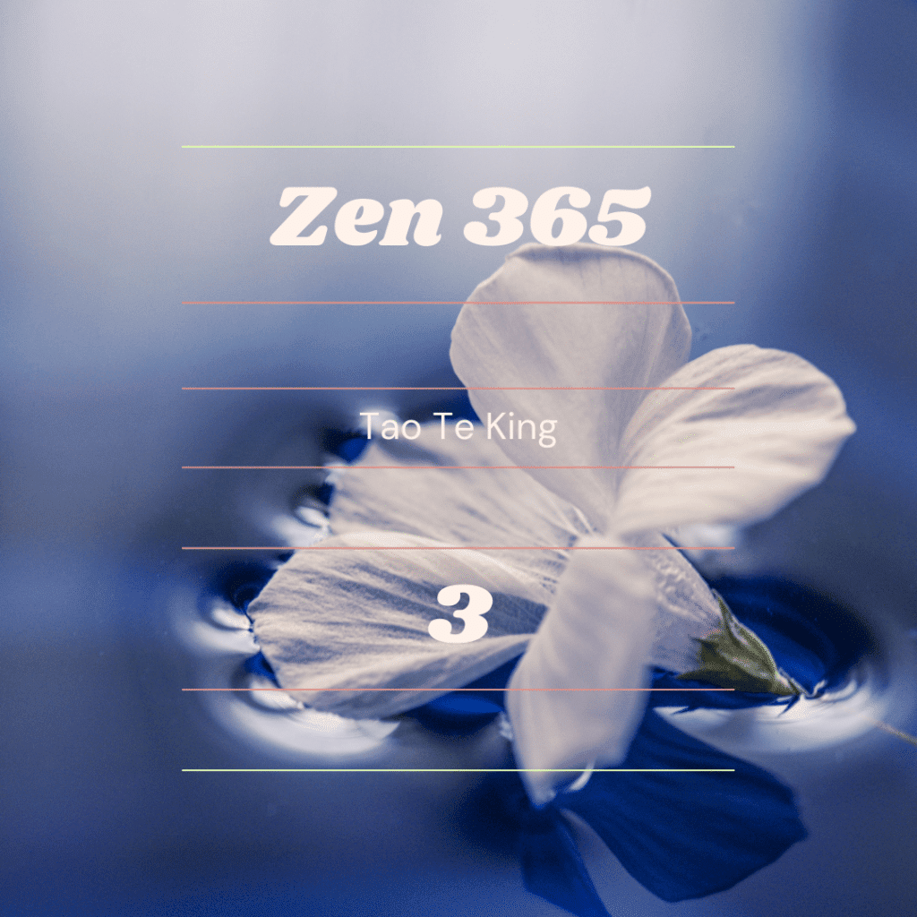 Zen 003