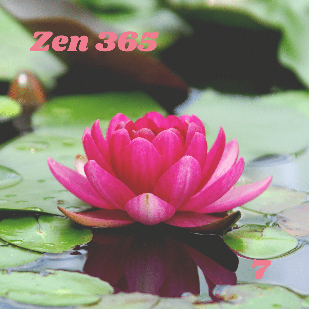 Zen 007